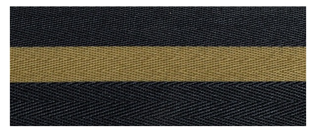22_negro_dorado_central